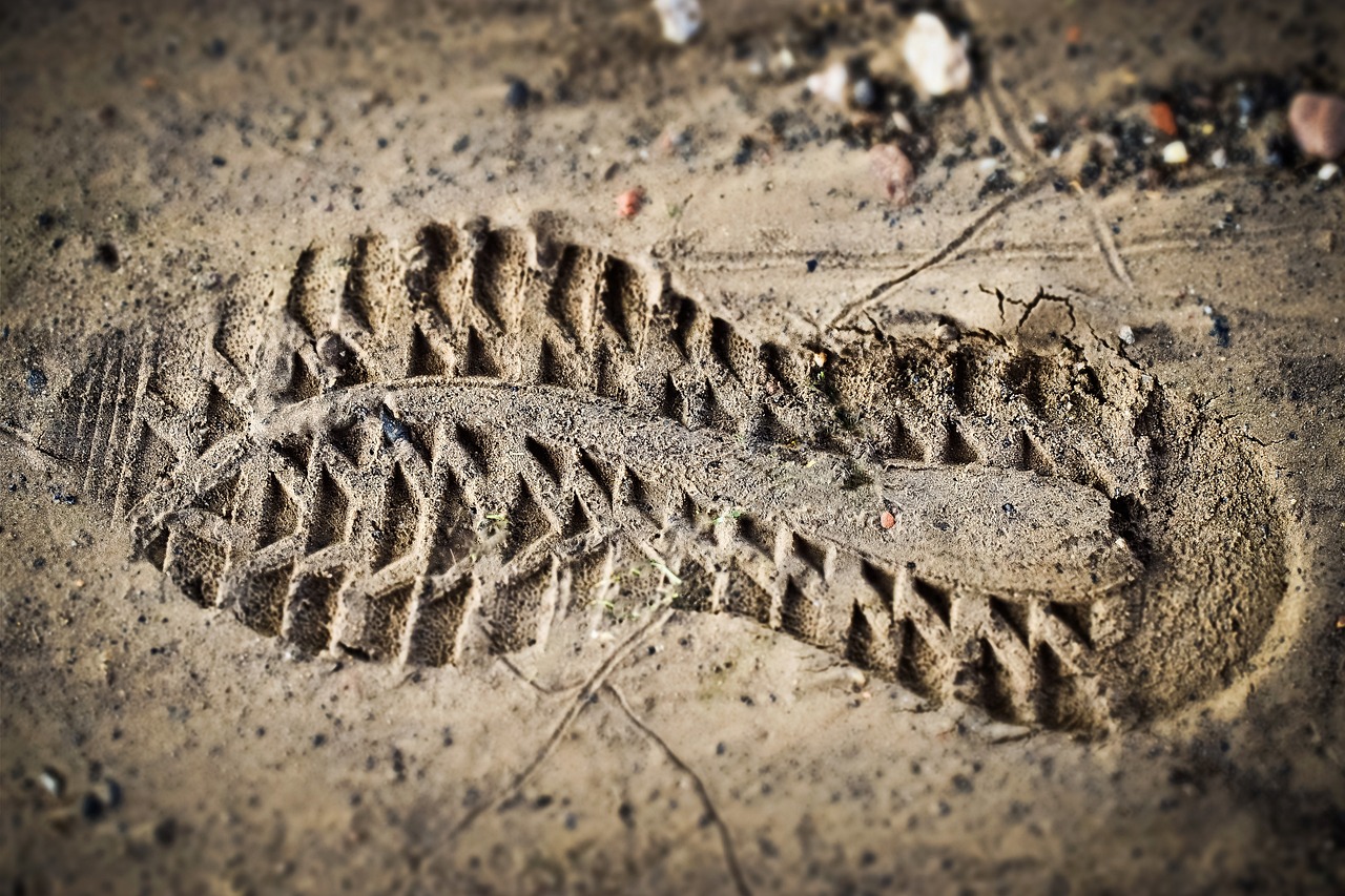 découvrez l'empreinte écologique, un indicateur clé de l'impact environnemental de nos modes de vie. apprenez comment réduire votre empreinte et contribuer à la protection de la planète grâce à des choix durables.