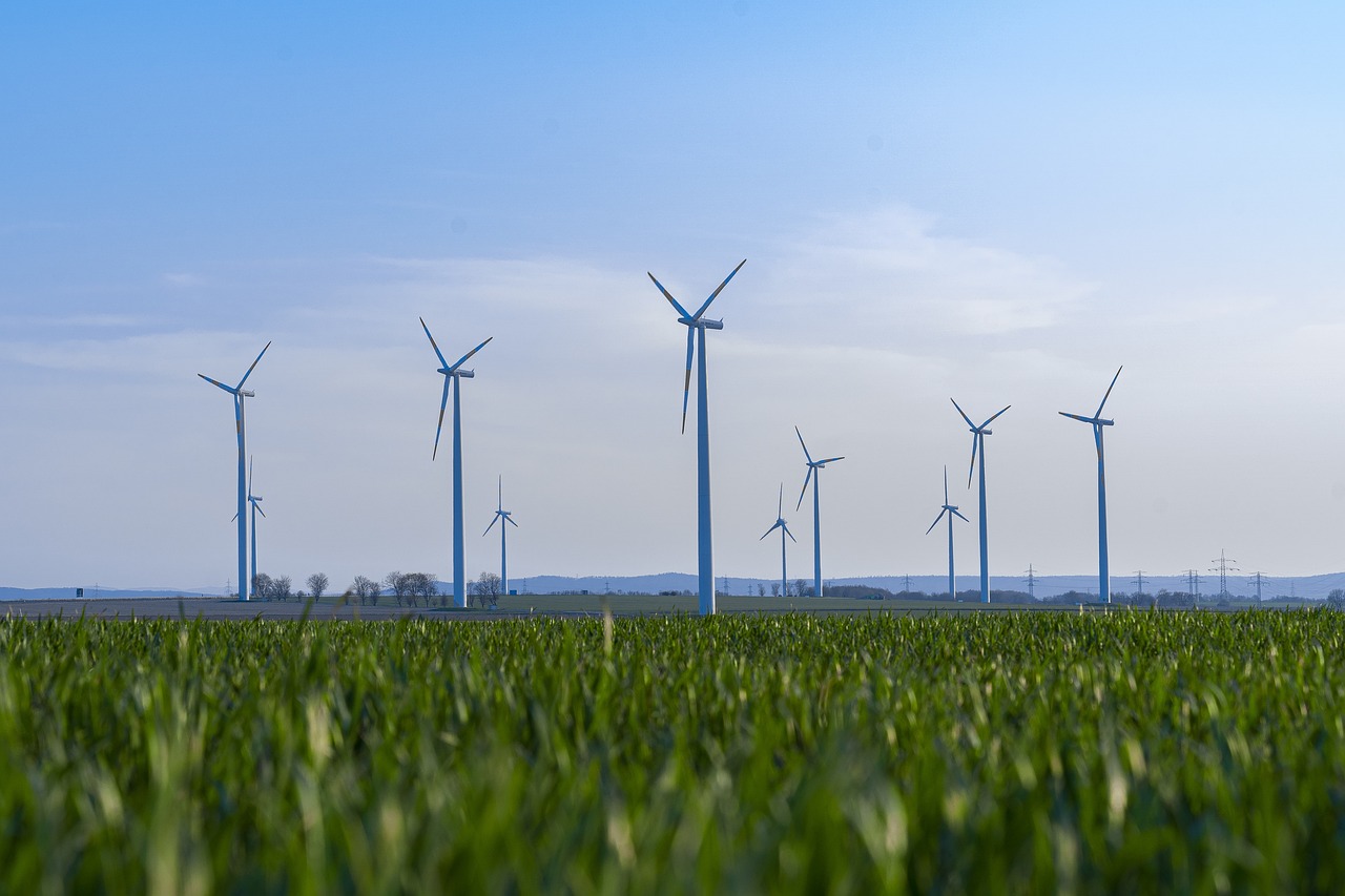 découvrez comment la durabilité façonne notre avenir, en intégrant des pratiques respectueuses de l'environnement, des solutions innovantes et un mode de vie responsable pour préserver notre planète.