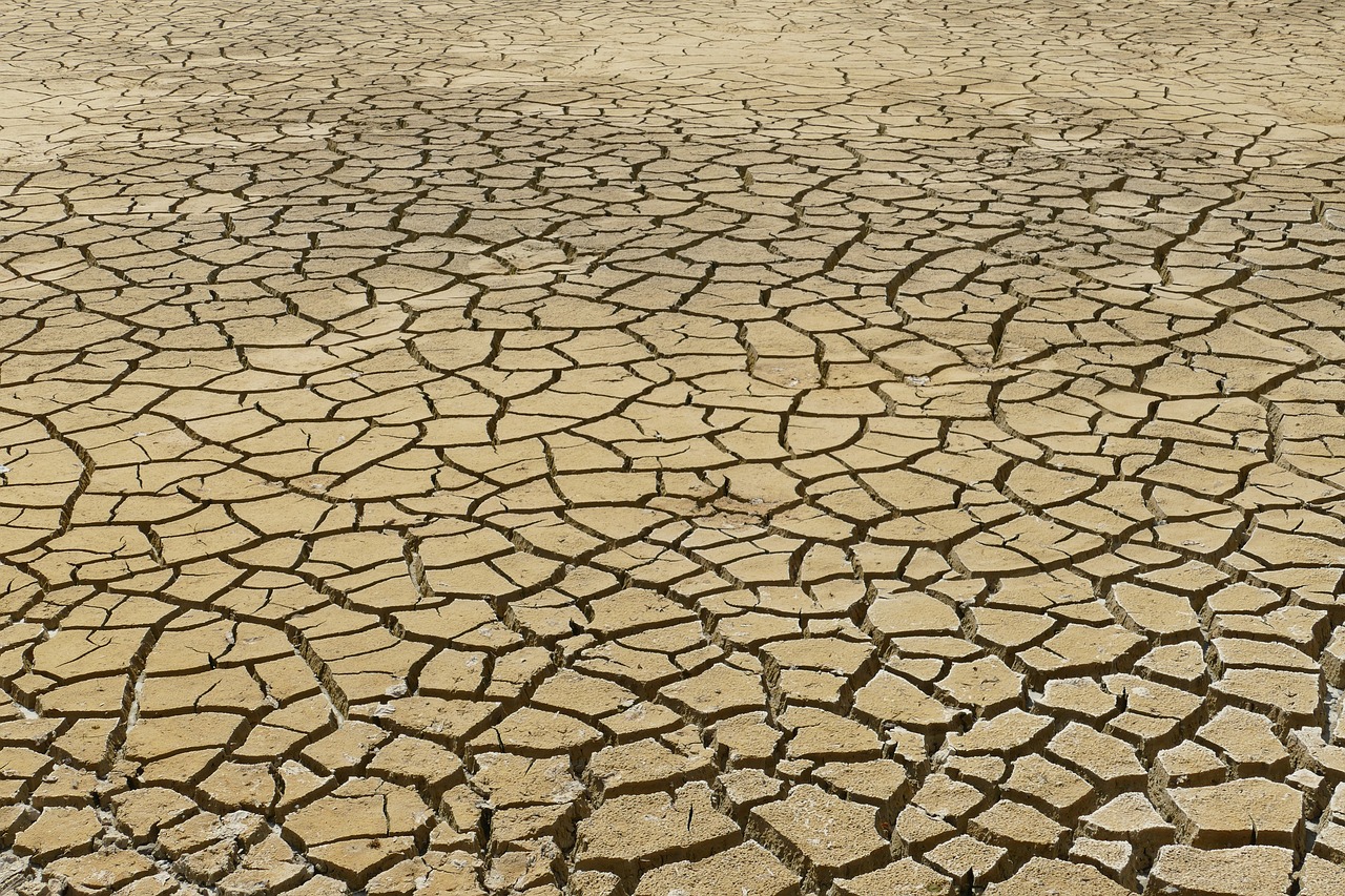 Changements climatiques : la nécessité d’agir maintenant