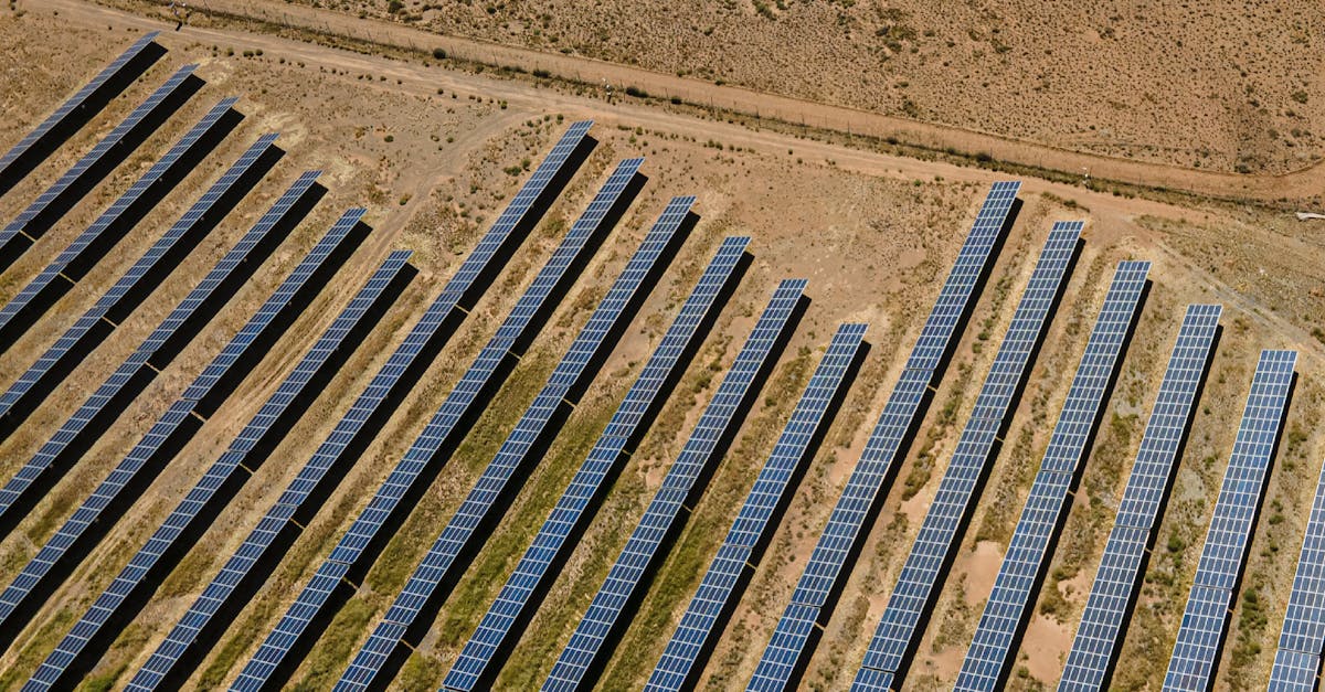 découvrez des stratégies efficaces pour réduire votre empreinte carbone et contribuer à la protection de l'environnement. adoptez des pratiques durables pour un avenir plus vert.