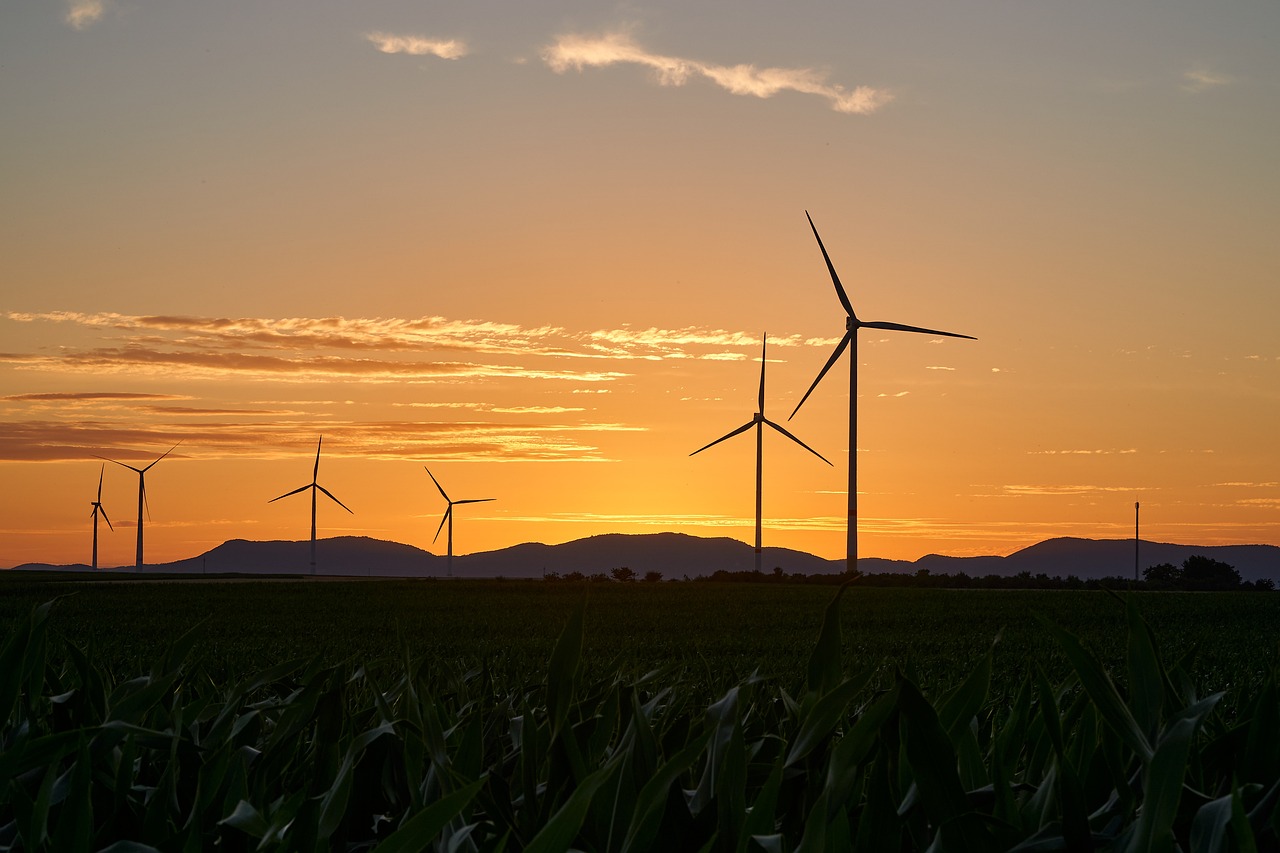 Top 5 des énergies renouvelables avec le meilleur bilan carbone