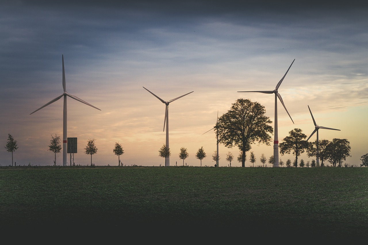 découvrez les conséquences environnementales de nos actions quotidiennnes, allant de la pollution à la perte de biodiversité, et explorez des solutions durables pour préserver notre planète.