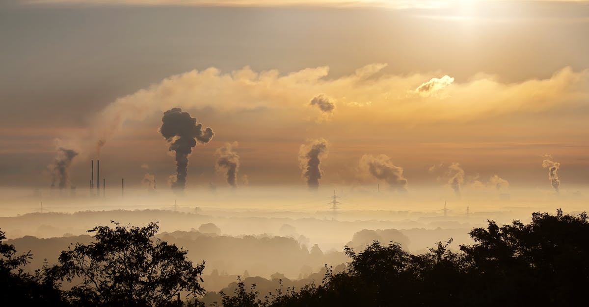 découvrez ce qu'est l'empreinte carbone et comment elle impacte notre environnement. apprenez des moyens pratiques pour réduire votre empreinte écologique et contribuer à un avenir durable.