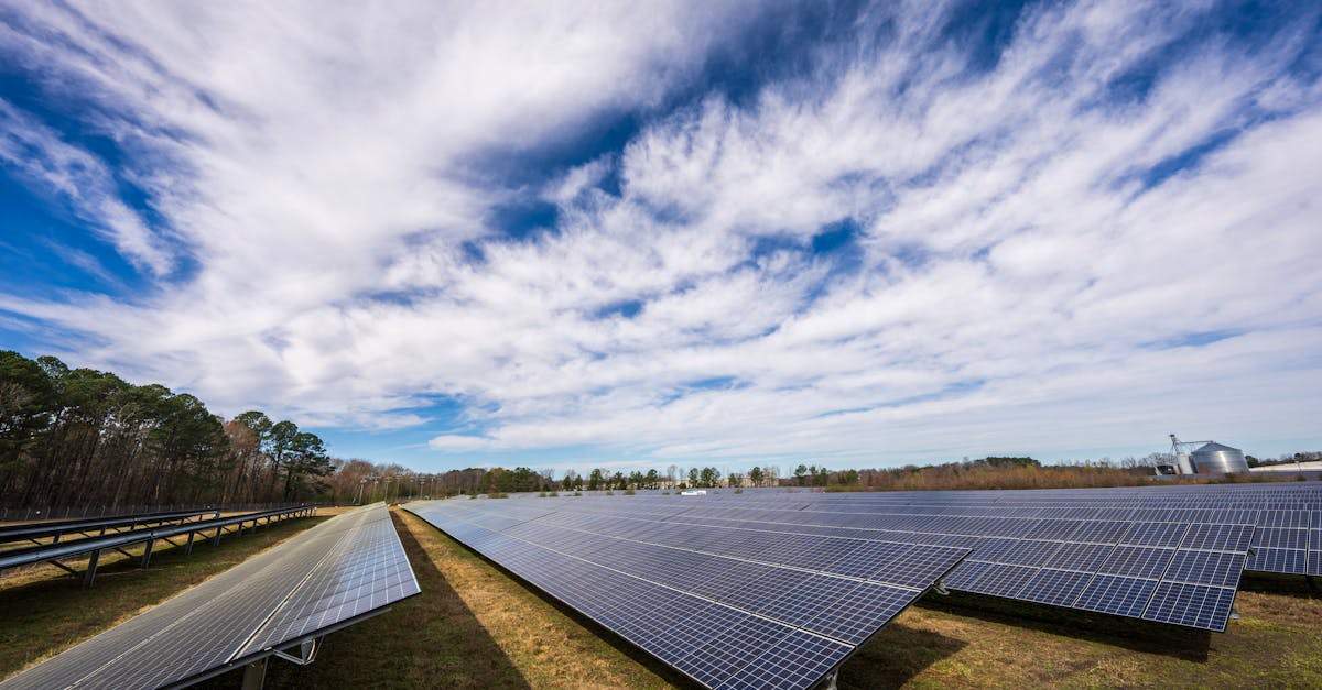 découvrez comment réduire votre empreinte carbone et contribuer à la protection de l'environnement. apprenez des stratégies pratiques et des conseils pour minimiser votre impact écologique au quotidien.