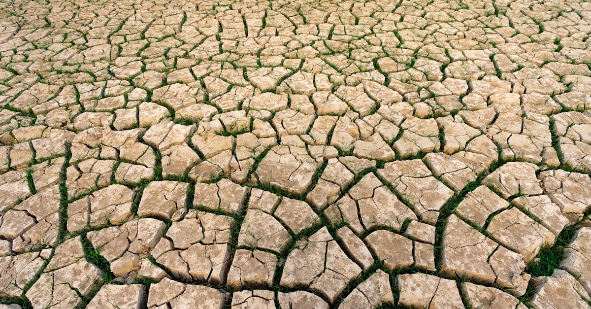 découvrez ce qu'est l'empreinte carbone, son impact sur l'environnement et les actions que vous pouvez entreprendre pour réduire votre propre empreinte. informez-vous sur l'importance de la durabilité et les moyens d'adopter un mode de vie plus respectueux de la planète.