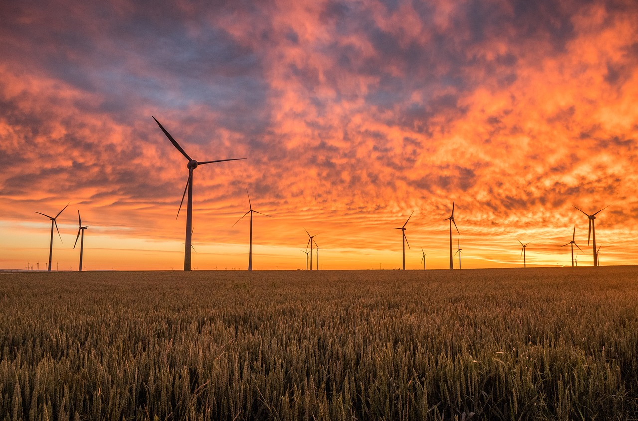 découvrez l'importance de l'énergie renouvelable, ses avantages pour l'environnement et l'économie, ainsi que les différentes sources d'énergie verte qui peuvent transformer notre avenir durable.