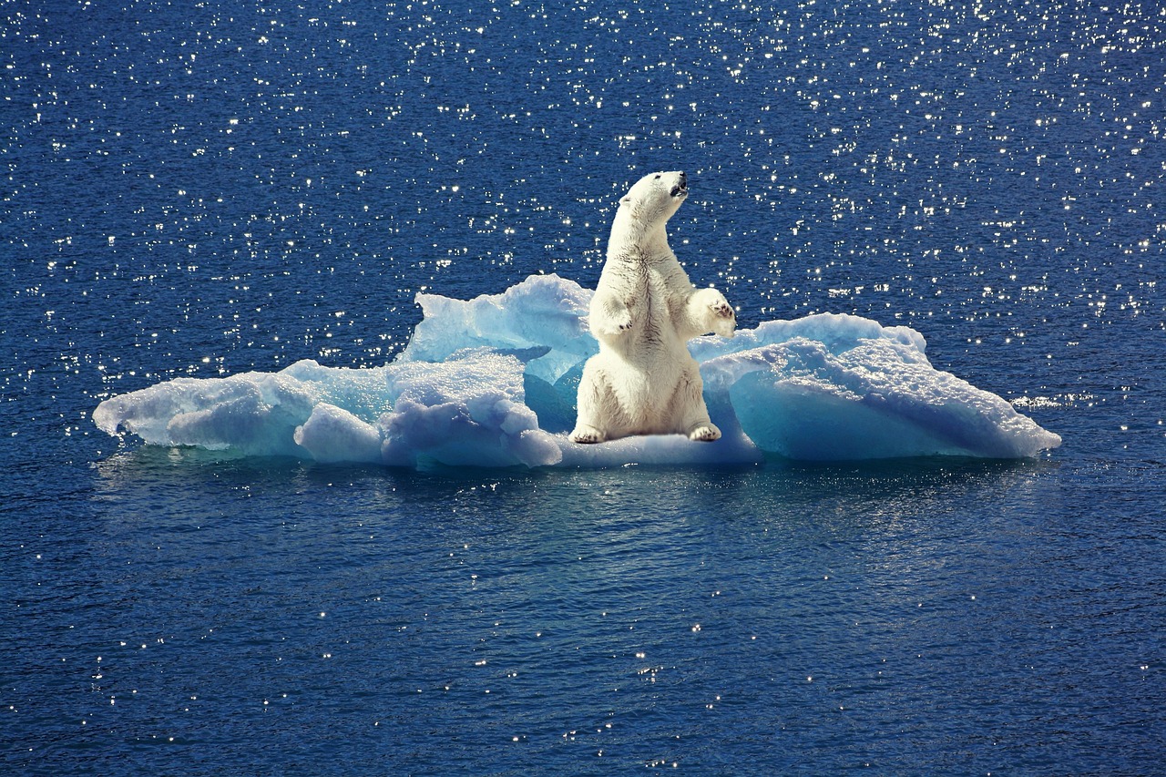 découvrez les enjeux du changement climatique, ses impacts sur notre planète et les actions à entreprendre pour un avenir durable. engagez-vous pour la préservation de l'environnement!