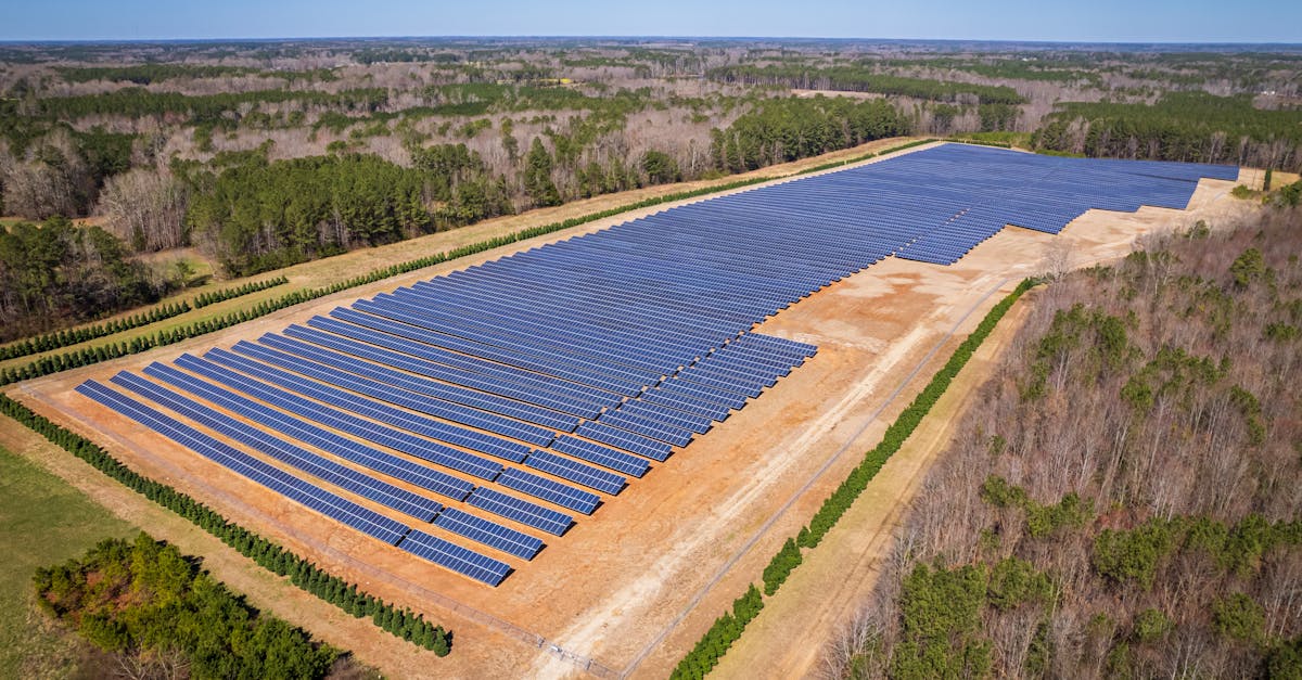 découvrez comment réduire votre empreinte carbone et participer à la lutte contre le changement climatique. nos conseils pratiques et ressources vous aideront à adopter un mode de vie plus durable et respectueux de l'environnement.