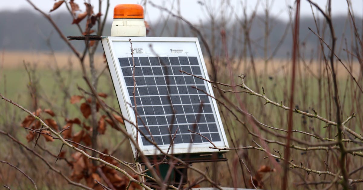 découvrez tout sur l'empreinte carbone, son impact sur l'environnement et les moyens de la réduire pour un avenir plus durable.