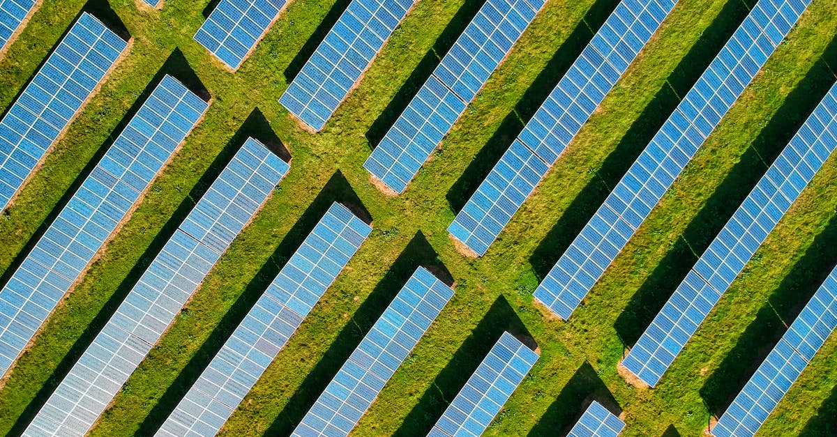 découvrez tout sur l'empreinte carbone : son importance, comment la mesurer et des conseils pratiques pour réduire son impact environnemental au quotidien. adoptez des gestes écoresponsables pour un avenir durable.