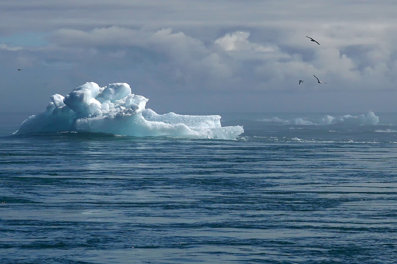 découvrez les enjeux du changement climatique, ses impacts sur notre planète et les actions nécessaires pour préserver notre environnement. informez-vous sur les solutions durables et le rôle de chacun dans la lutte contre ce phénomène mondial.