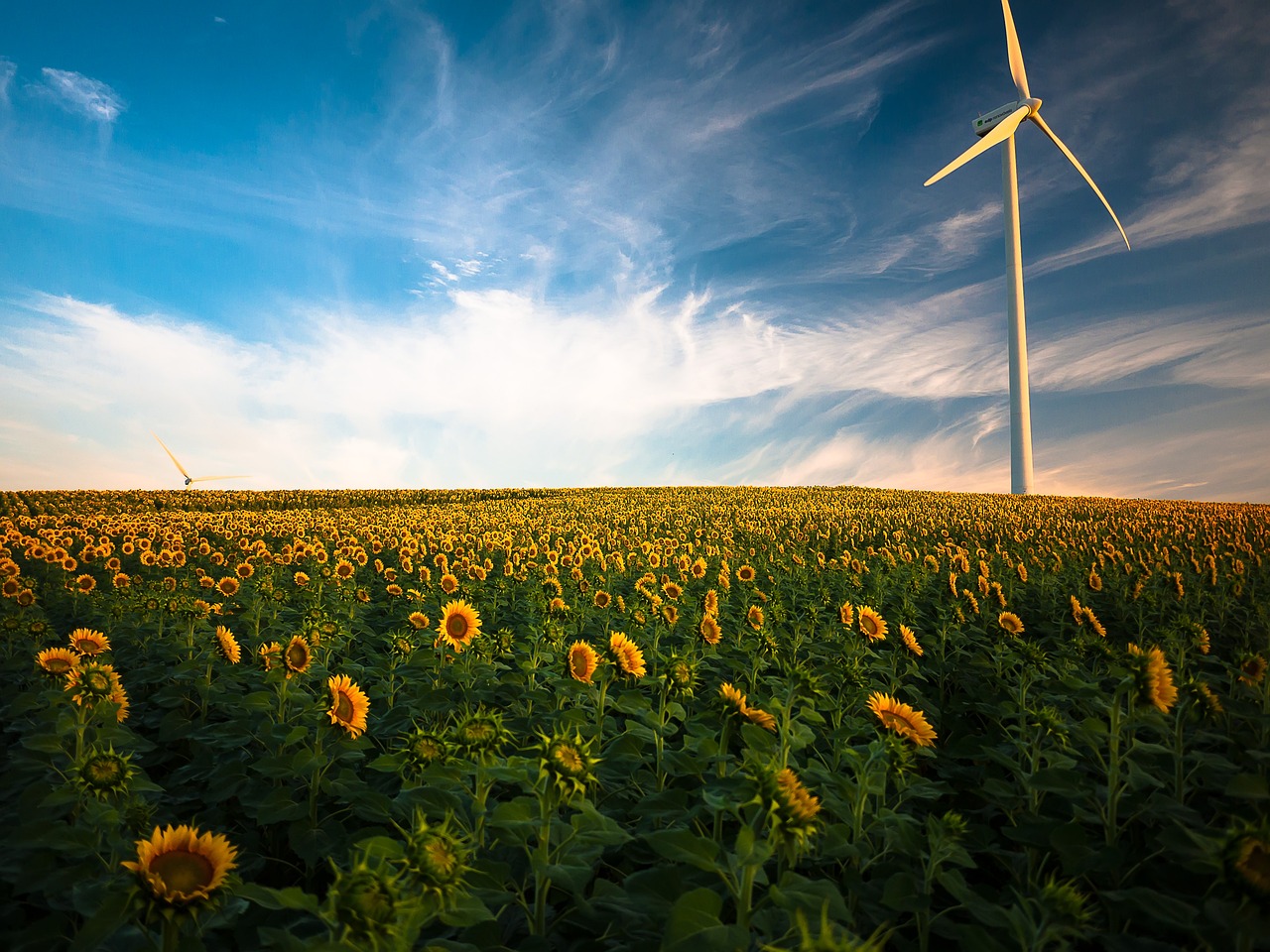 découvrez l'importance et les avantages des énergies renouvelables. apprenez comment ces sources d'énergie durables, telles que l'énergie solaire, éolienne et hydraulique, contribuent à réduire notre empreinte carbone tout en sauvegardant l'environnement pour les générations futures.