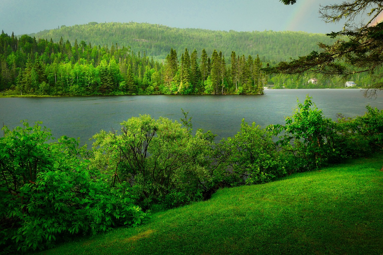 découvrez l'importance de la biodiversité, ses enjeux pour l'environnement et les initiatives pour préserver notre écosystème. apprenez comment chaque espèce contribue à l'équilibre de la planète.