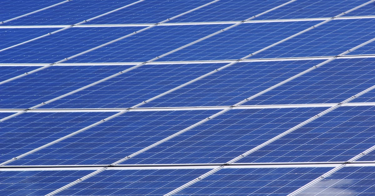 découvrez l'importance de la durabilité et comment adopter des pratiques respectueuses de l'environnement pour un avenir meilleur. explorez des solutions innovantes pour préserver notre planète tout en stimulant la croissance économique.