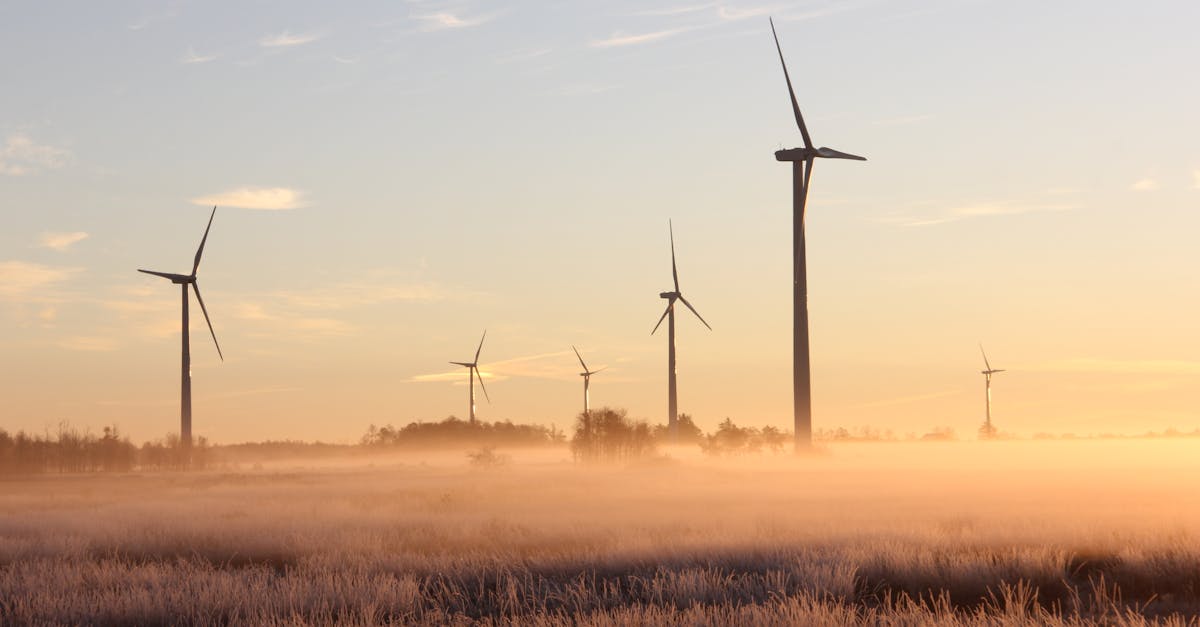 découvrez des interventions écologiques innovantes visant à préserver notre environnement. apprenez comment des solutions durables peuvent contribuer à la protection de la biodiversité et à la lutte contre le changement climatique.