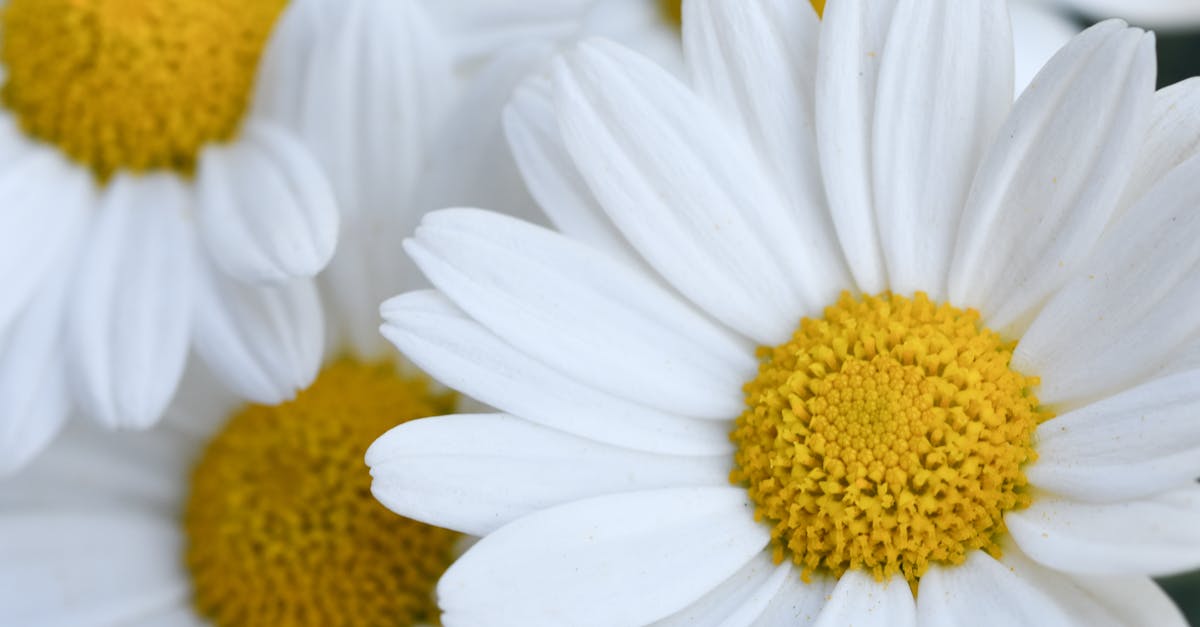 découvrez la richesse de la biodiversité, un ensemble fascinant d'espèces et d'écosystèmes, essentiel à la santé de notre planète. explorez son importance, les menaces qu'elle subit et les actions à entreprendre pour la préserver.
