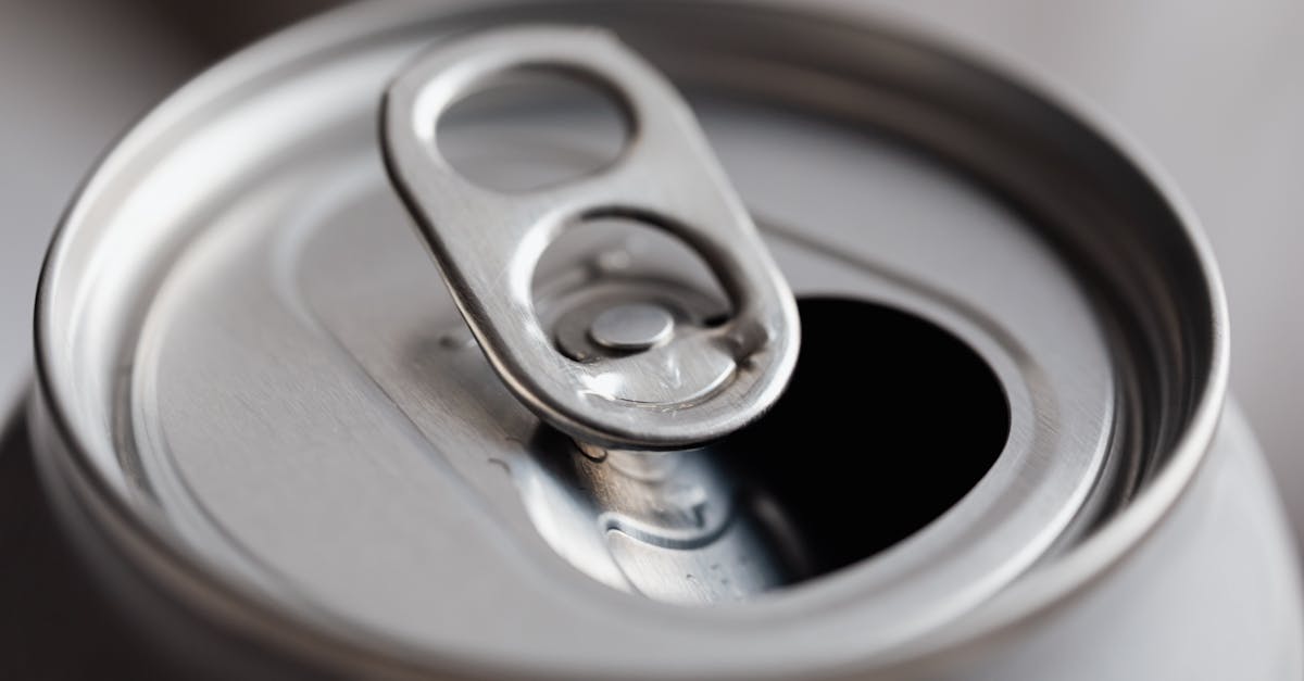 découvrez les stratégies de valorisation des déchets, un processus innovant visant à transformer les déchets en ressources utiles, réduisant ainsi l'impact environnemental tout en favorisant l'économie circulaire.