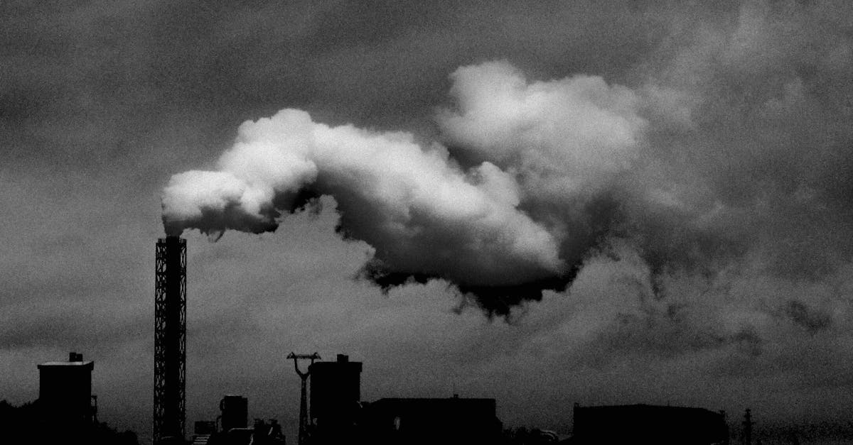 découvrez comment réduire votre empreinte carbone pour un avenir plus durable. apprenez des astuces pratiques et des solutions écologiques pour minimiser votre impact sur l'environnement.