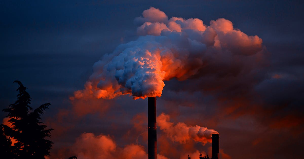 découvrez l'empreinte carbone : un concept essentiel pour comprendre l'impact de nos actions sur l'environnement. apprenez à réduire votre empreinte et à adopter des pratiques durables pour préserver notre planète.