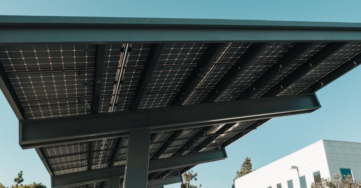 découvrez comment réduire votre empreinte carbone et contribuer à la protection de l'environnement. des conseils pratiques et des stratégies pour vivre de manière plus durable et responsable.
