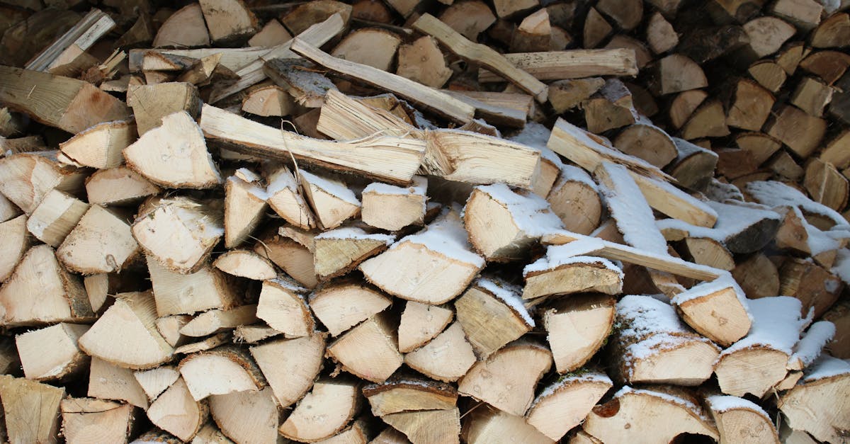 découvrez comment les partenariats climatiques peuvent favoriser la coopération mondiale pour lutter contre le changement climatique, promouvoir des solutions durables et atteindre les objectifs de développement durable.