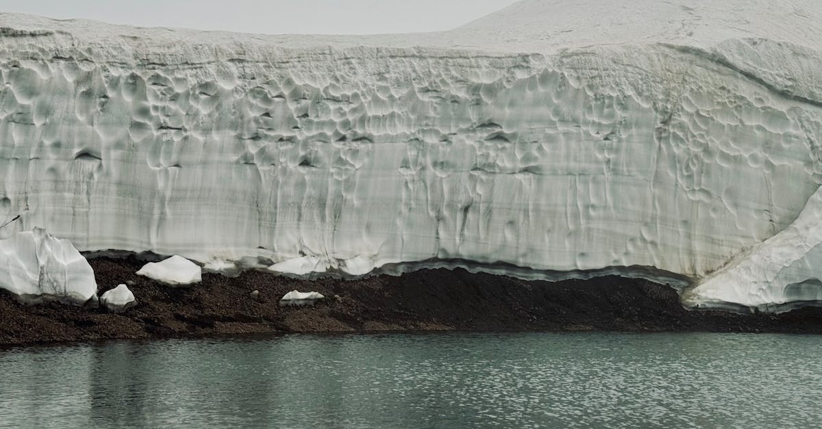 découvrez comment les partenariats climatiques favorisent la collaboration entre entreprises, gouvernements et ong pour lutter contre le changement climatique et promouvoir un avenir durable.