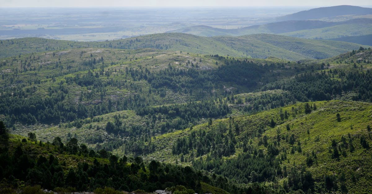 découvrez les indicateurs environnementaux essentiels pour évaluer notre impact sur la planète. informez-vous sur les données clés qui mesurent la santé écologique, la biodiversité et l'efficacité des ressources, et apprenez comment ces informations guident nos actions vers un avenir durable.