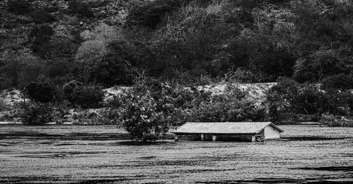 découvrez les principaux risques environnementaux qui menacent notre planète, des changements climatiques à la pollution, et explorez des solutions durables pour préserver notre écosystème.