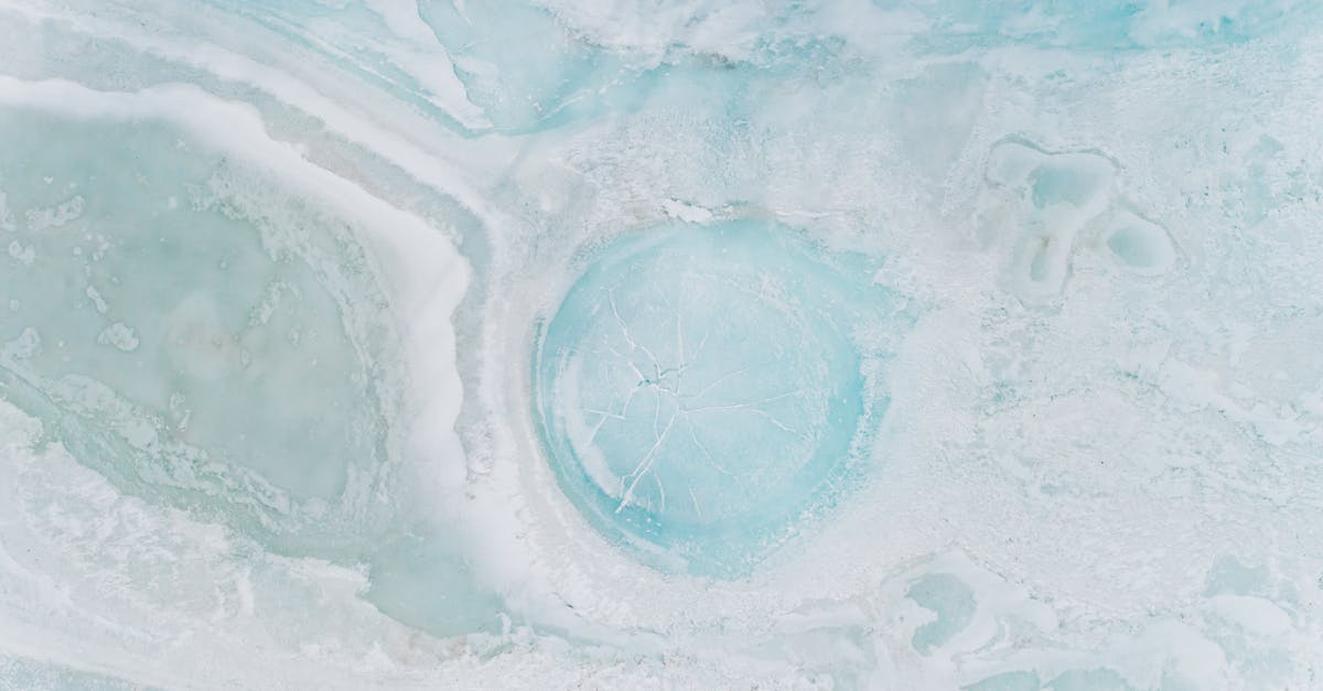 découvrez les différents risques environnementaux qui menacent notre planète, ainsi que les moyens de les atténuer pour préserver notre écosystème et assurer un avenir durable.