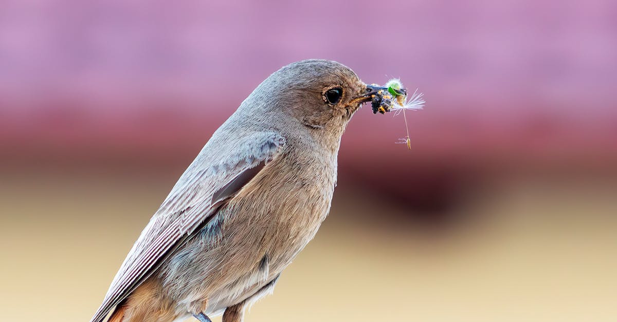 découvrez des témoignages inspirants sur la protection de l'environnement, mettant en lumière des actions concrètes et des expériences vécues qui encouragent chacun à contribuer à un avenir durable.