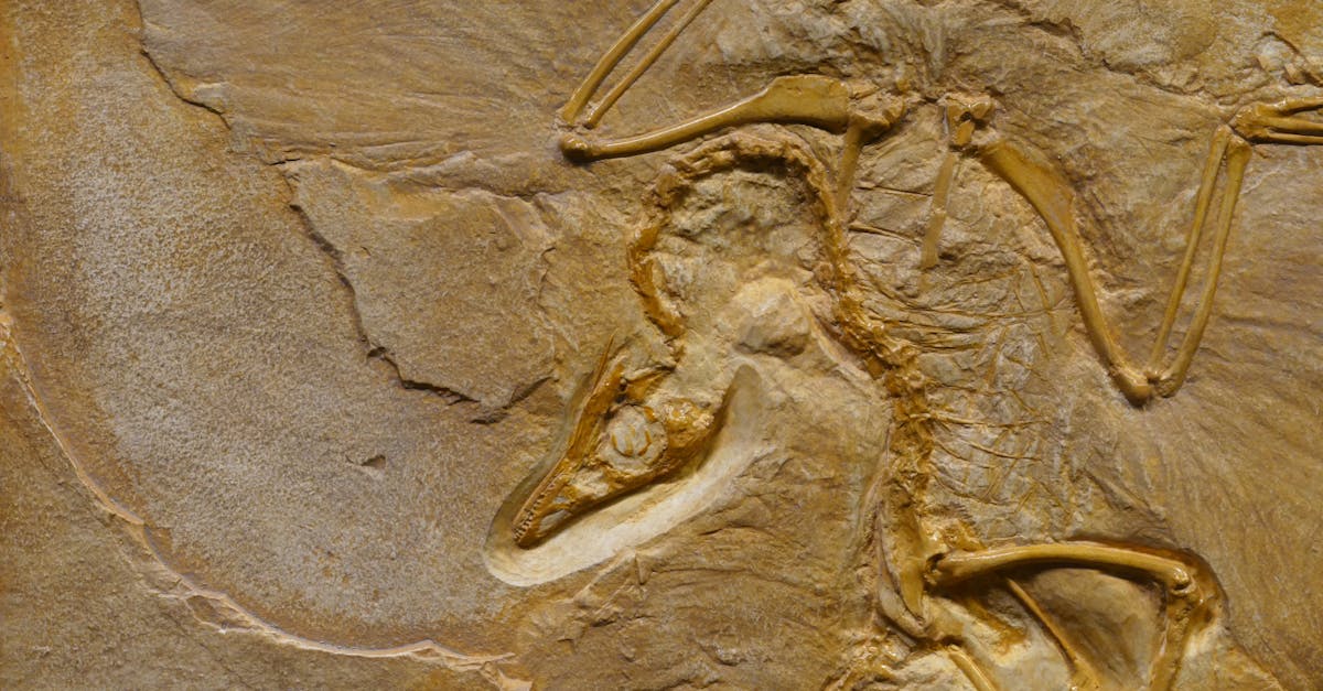 découvrez les dernières preuves scientifiques qui éclairent notre compréhension du monde. plongez dans une analyse approfondie des recherches et études qui façonnent les connaissances actuelles dans divers domaines.
