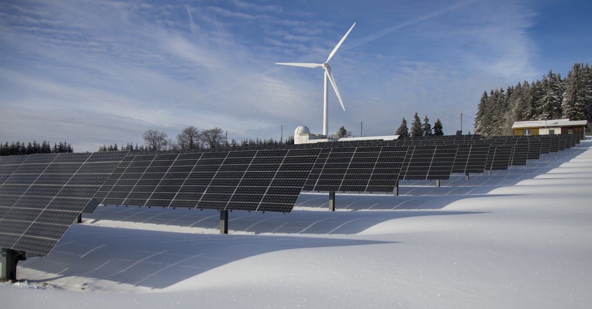 découvrez les principes de durabilité, l'importance de préserver notre environnement et les pratiques responsables pour un avenir plus vert. explorez des solutions innovantes qui allient développement économique et respect de la planète.