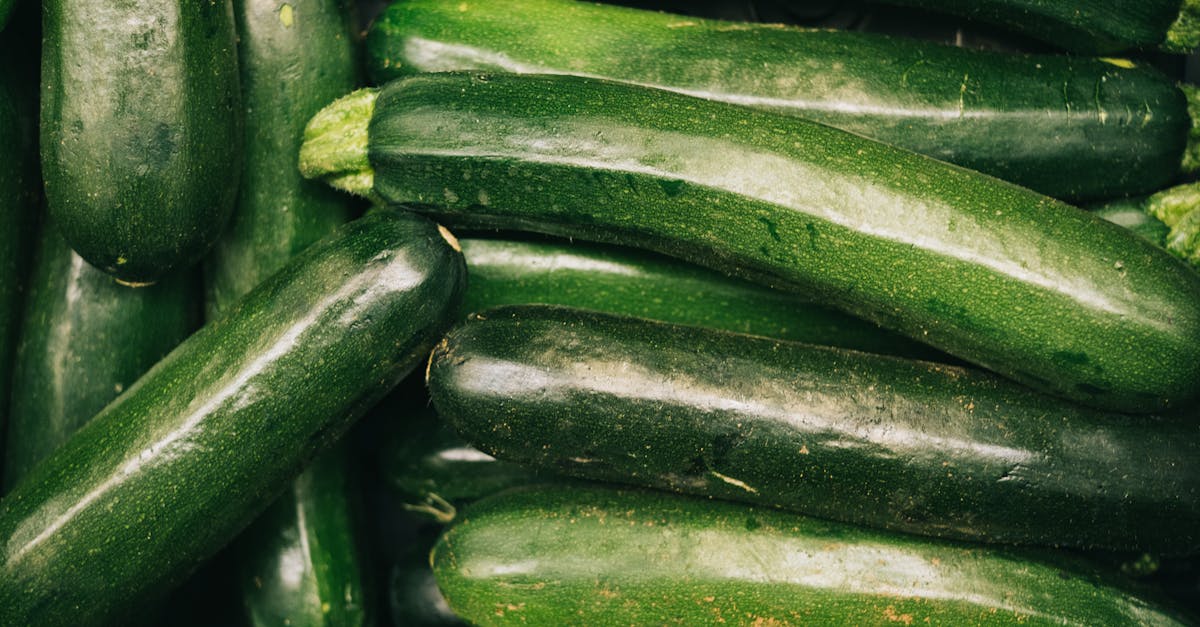 découvrez les bienfaits d'une alimentation durable : des conseils pour manger de manière responsable tout en préservant l'environnement. apprenez à intégrer des aliments sains et éthiques dans votre quotidien.