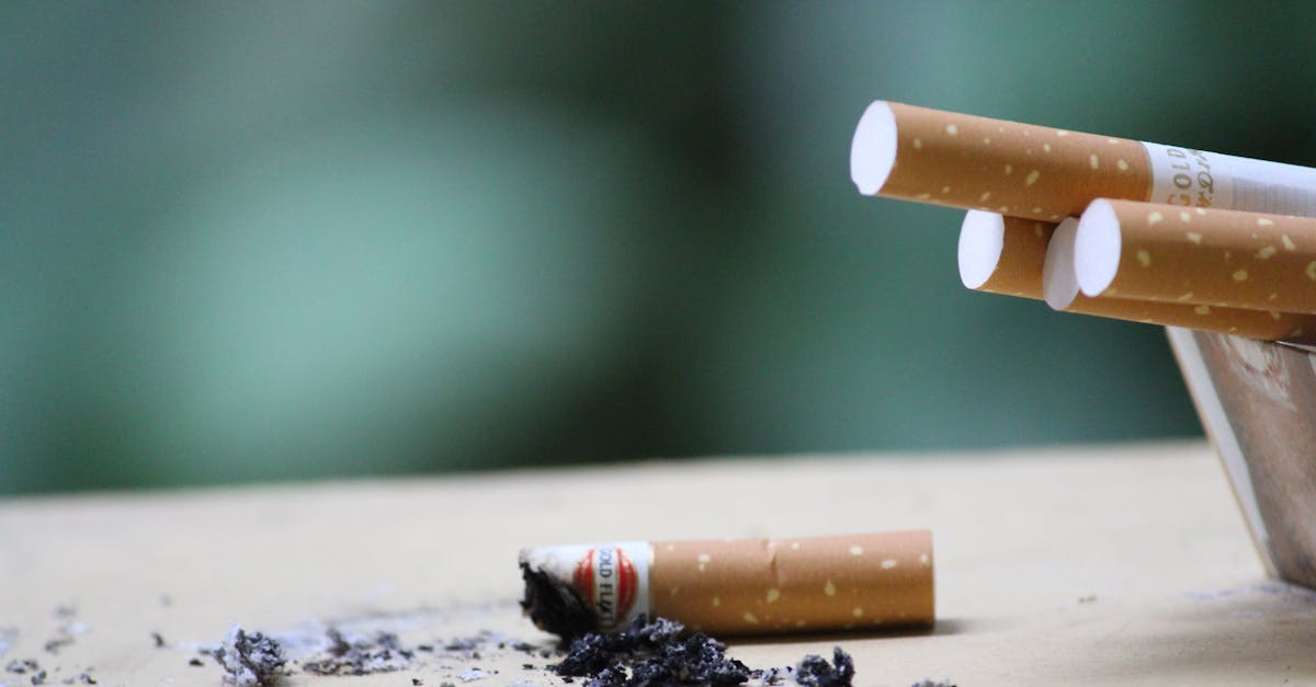 découvrez l'importance de la valorisation des déchets, un processus essentiel qui transforme les matériaux résiduels en ressources réutilisables, tout en contribuant à la protection de l'environnement et à l'économie circulaire.