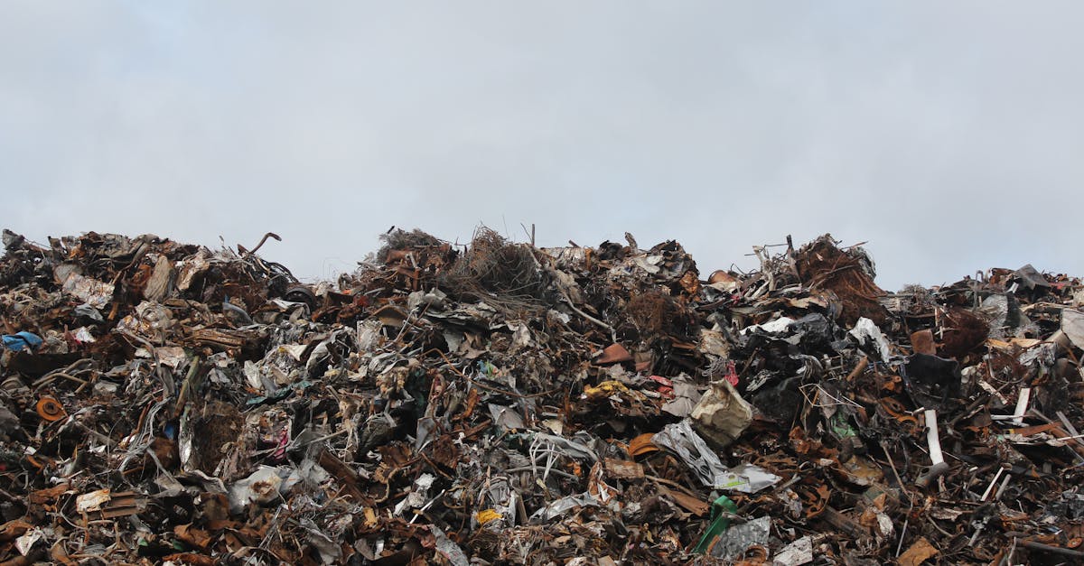 découvrez comment la valorisation des déchets transforme les matières résiduelles en ressources utiles, contribuant à une économie circulaire et à la protection de l'environnement. apprenez les méthodes innovantes et durables pour réutiliser, recycler et réduire l'impact écologique des déchets.